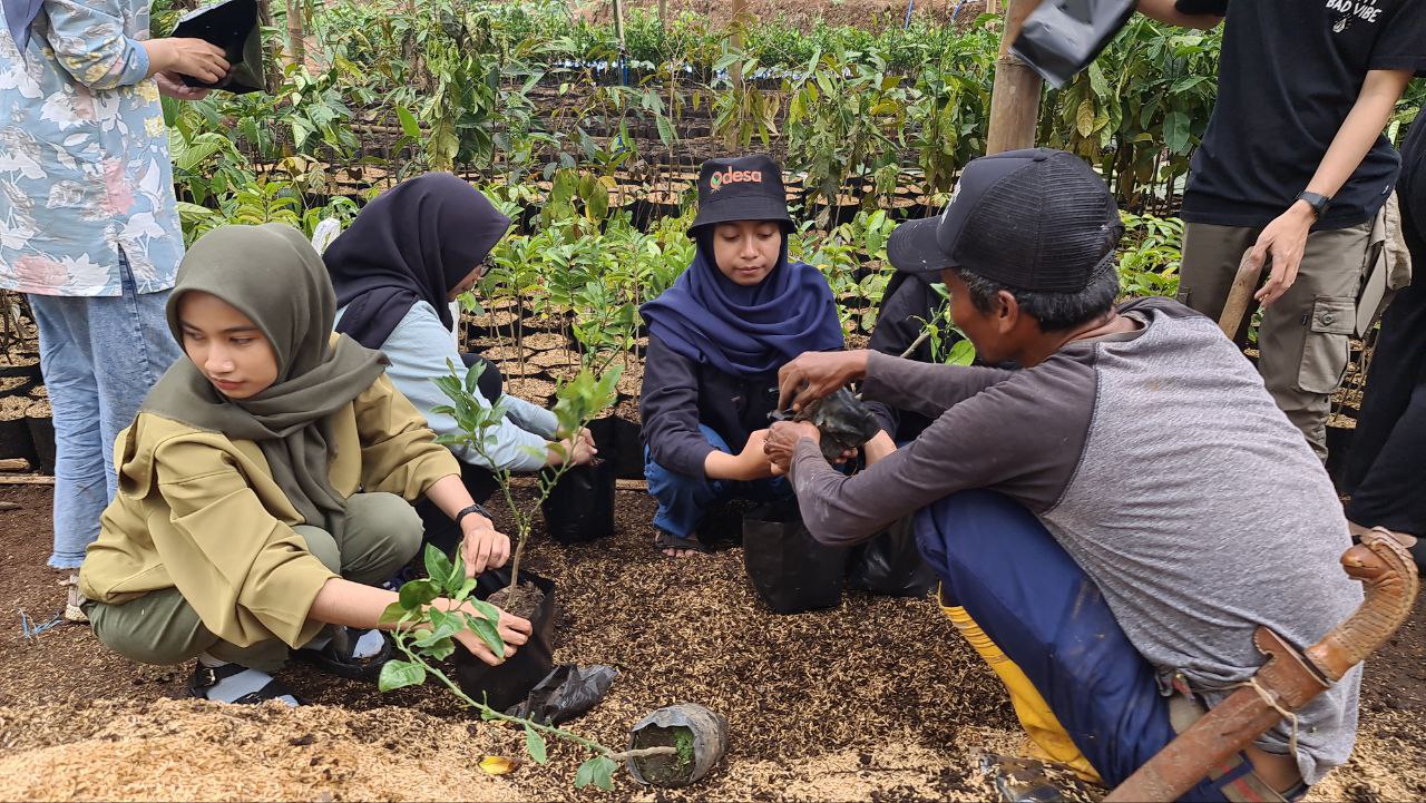 Penanaman Bibit Pohon dalam Rangka Penghijauan Lingkungan  Tanggal Kegiatan